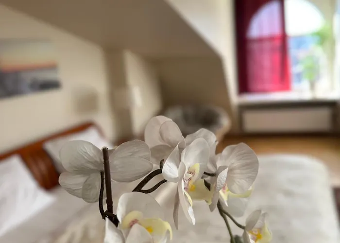 Old Town With Sauna Apartment