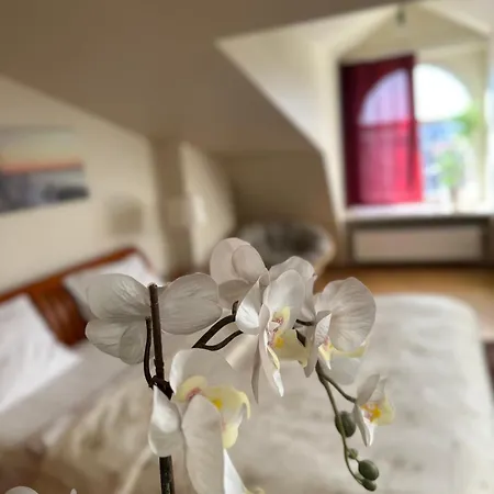 Old Town With Sauna דירה